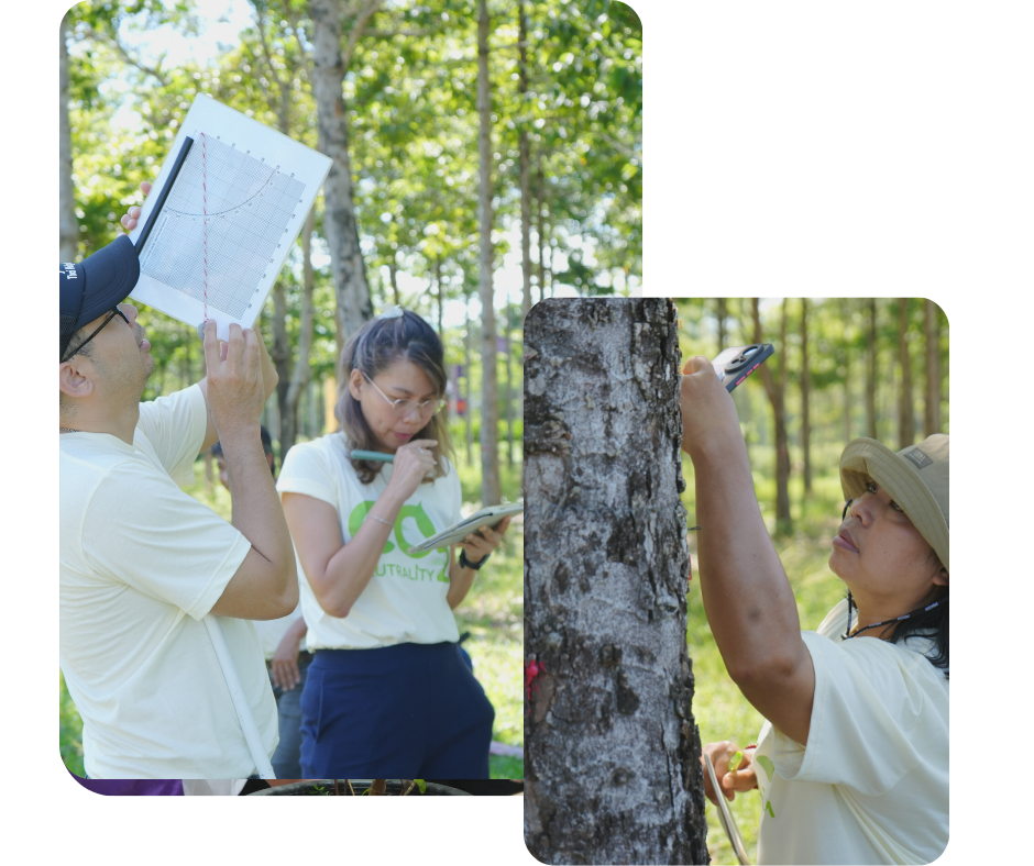 ดีไซน์ที่ยังไม่ได้ตั้งชื่อ (2)