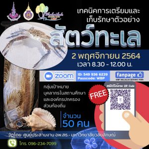 เทคนิคการเตรียมและรักษาตัวอย่างสัตว์ทะเล
